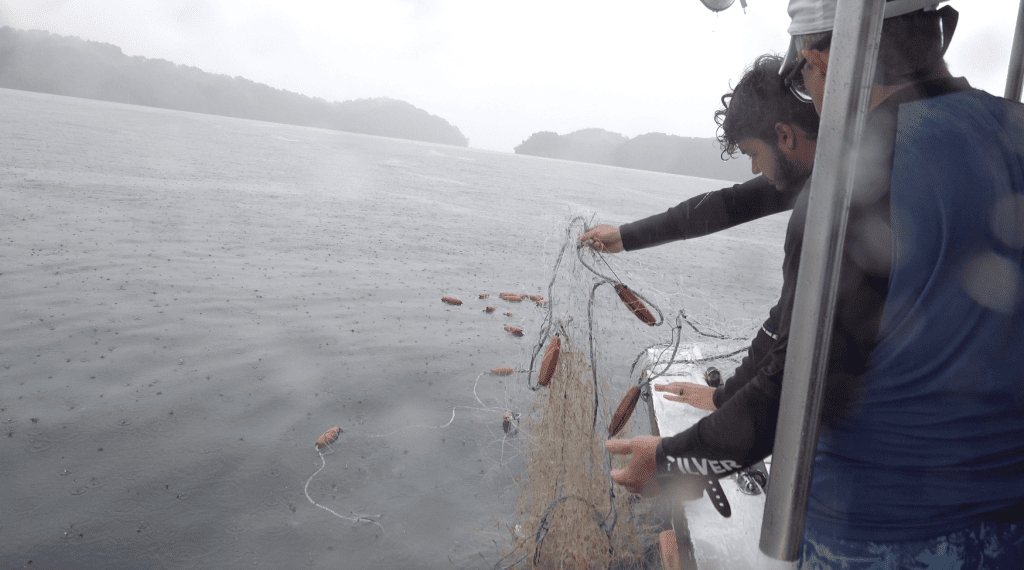 Scientist retrieving a fishing line